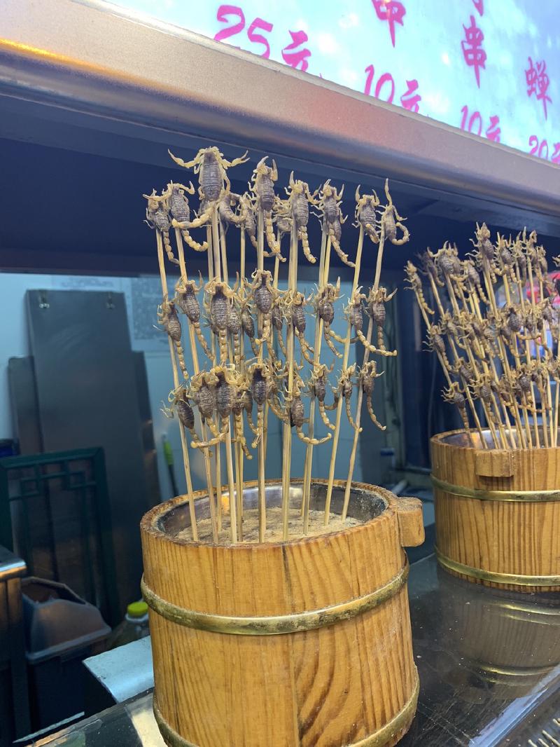 Skewers of fried scorpions stand upright in wooden buckets at a Beijing street-food stall