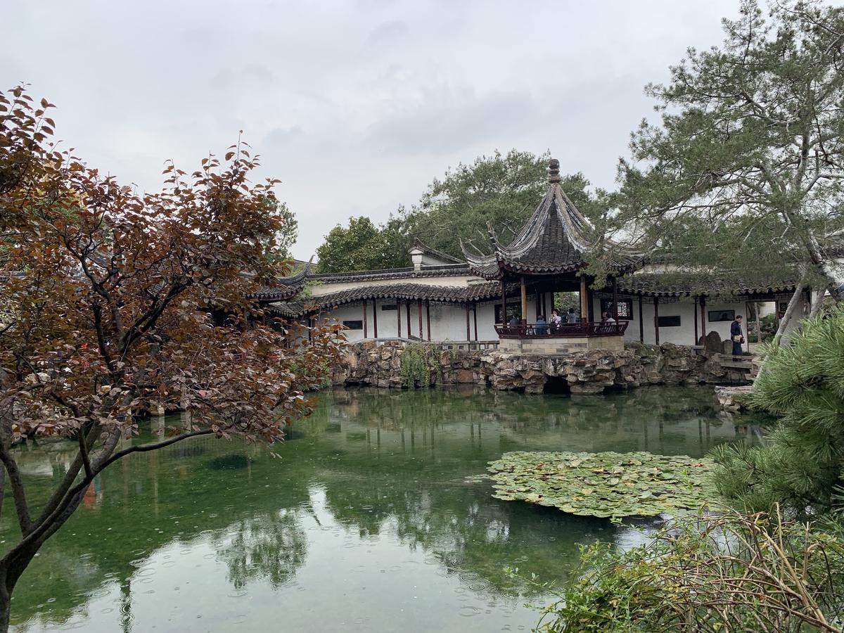 Classical Chinese garden in the rain: a tiled pavilion and white walls above a green pond with lily pads