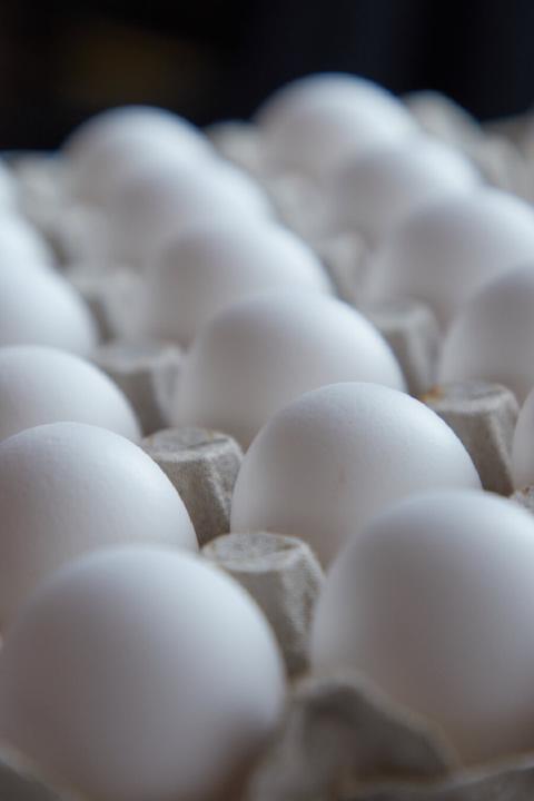 Rows of white eggs in a cardboard carton
