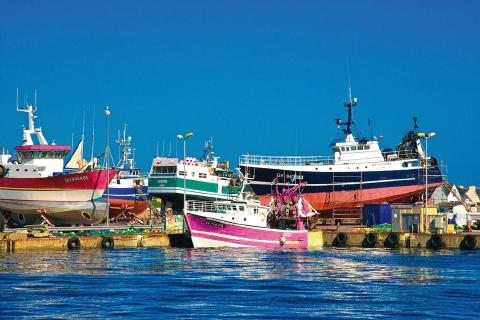 A harbor of small fishing boats painted pink, green, and navy